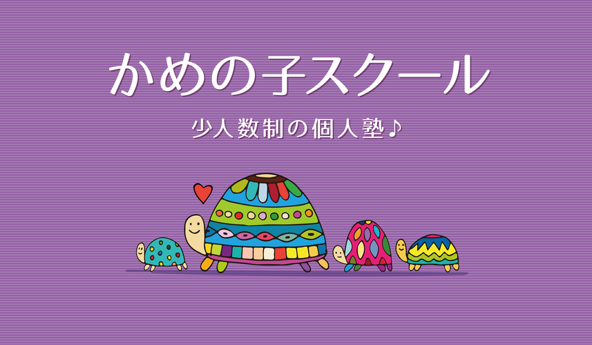 かめの子スクール画像